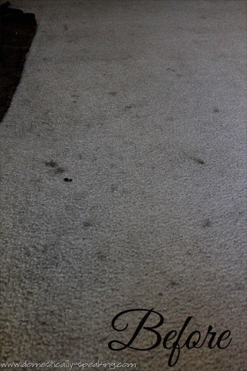 carpet cleaning 1