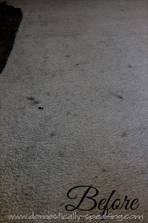 carpet cleaning 1