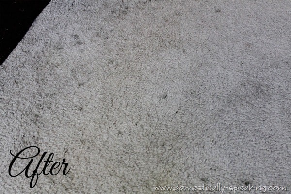 carpet cleaning 5