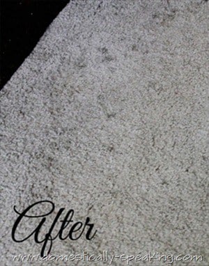 carpet cleaning 6