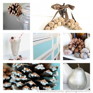 Nov-2012-Collage.jpg
