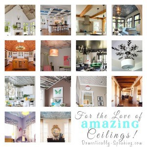 For-the-LOVE-of-Cool-Ceilings-copy.jpg
