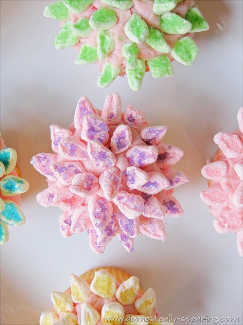 Spring Mum Cupcakes @ Domestically-Speaking.com cupcakes, spring, flowers, marshmallows, decorating