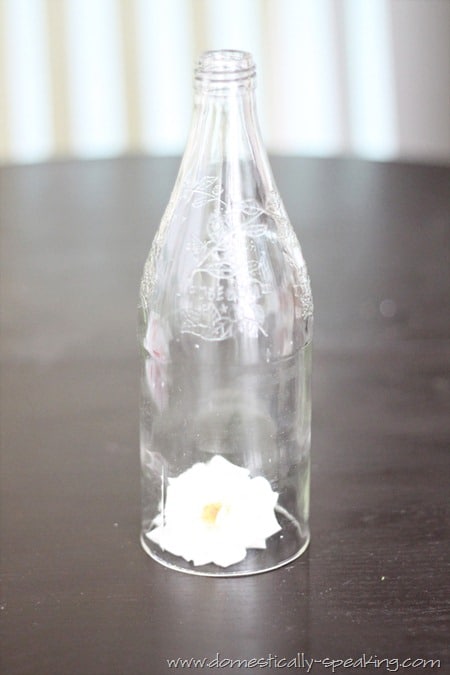 Glass Cloche made from a Bottle Glass Cloche made from a Bottle