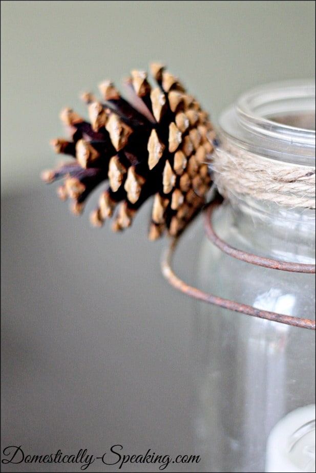 winter, pine cone