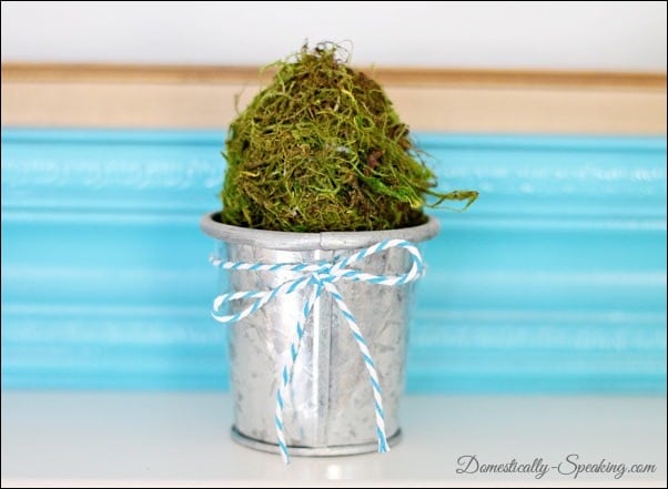 How to Make Moss Eggs @ Domestically-Speaking.com moss egg in galvanized bucket