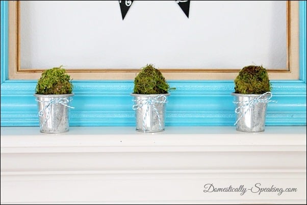 Moss eggs on a mantel Moss eggs on a mantel