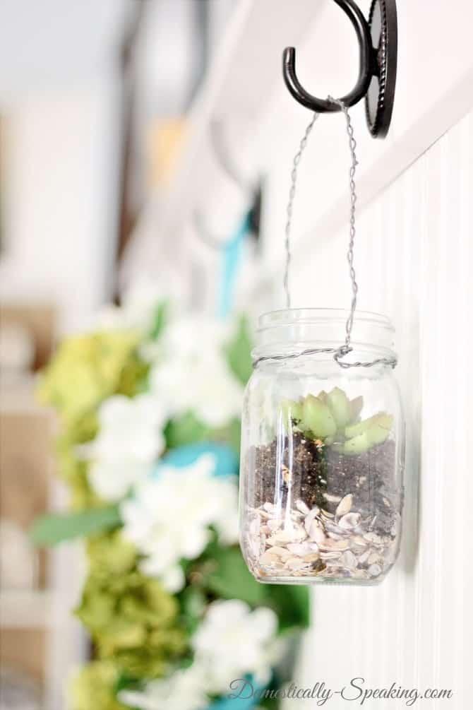 Hanging Mason Jar Succulents ~ Domestically-Speaking.com Mason Jar Succulents with mini shells at the base for drainage.