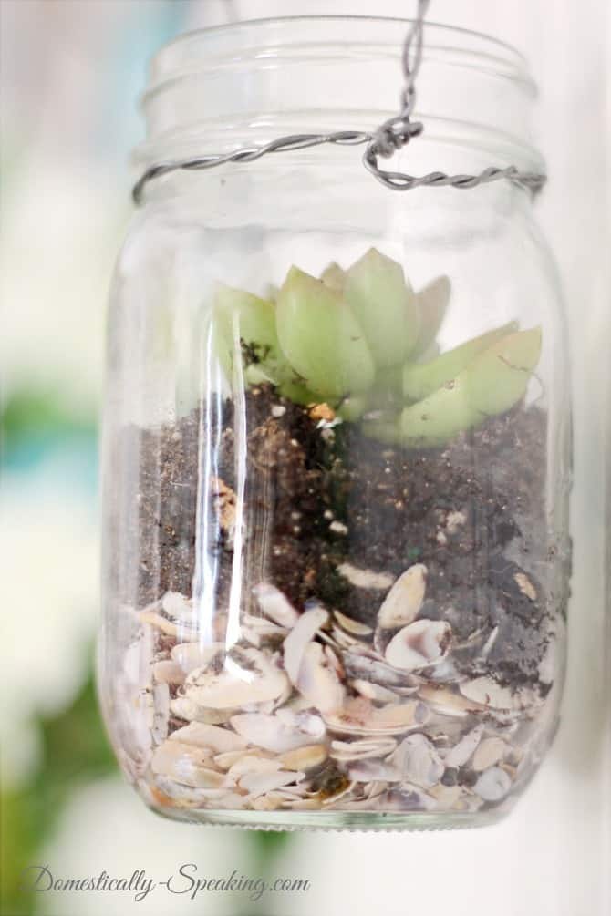 Fill a mason jar with mini shells, potting soil and a succulent Fill a mason jar with mini shells, potting soil and a succulent