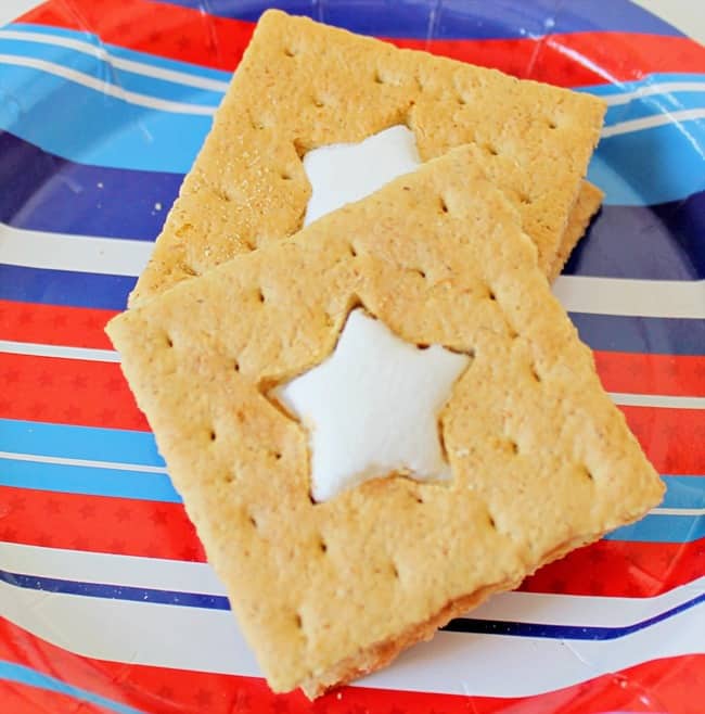 Patriotic S'mores @ Domestically Speaking