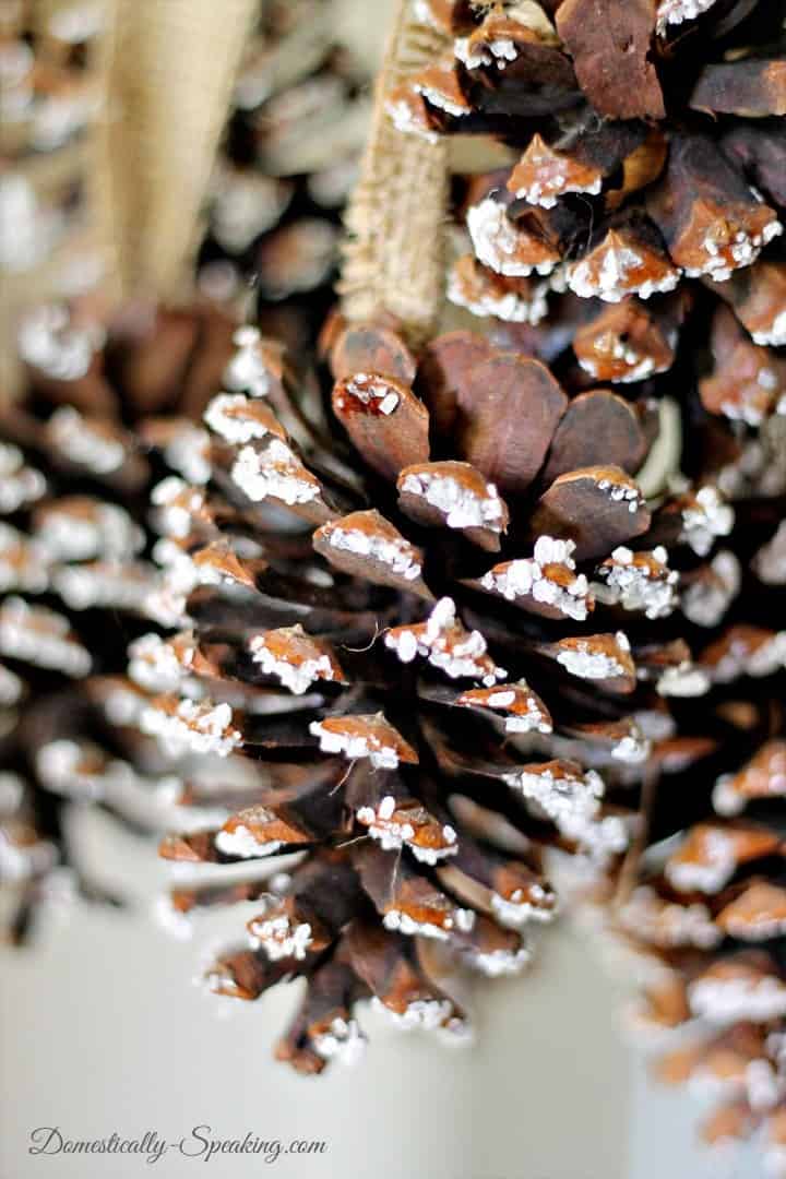Epsom Salt Pinecones hanging from burlap strips