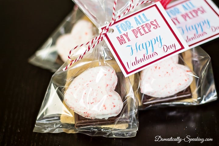 Valentine Smores Printable | For all my Peeps! | Cute free printable with instructions on using Valentine Peeps for a gift bag Valentine Smores Printable | For all my Peeps! | Cute free printable with instructions on using Valentine Peeps for a gift bag