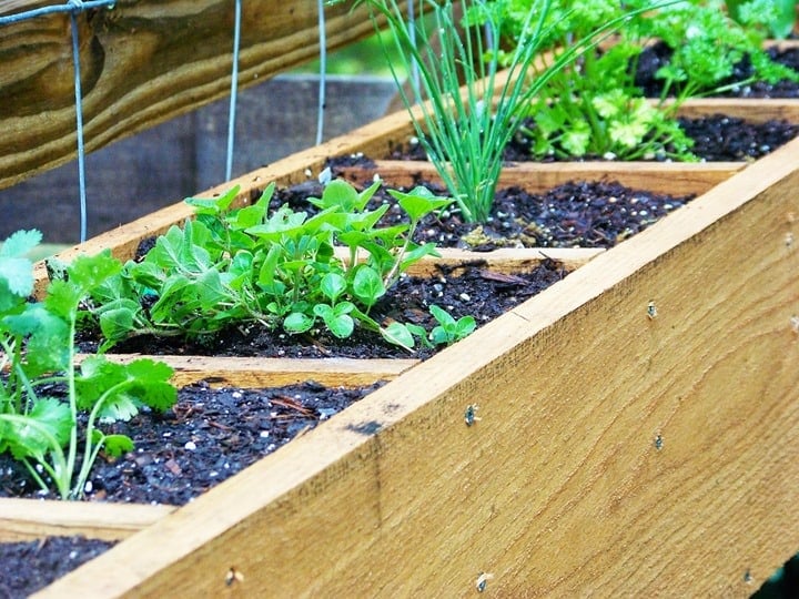 DIY Herb Planter from Three Dog Farm House