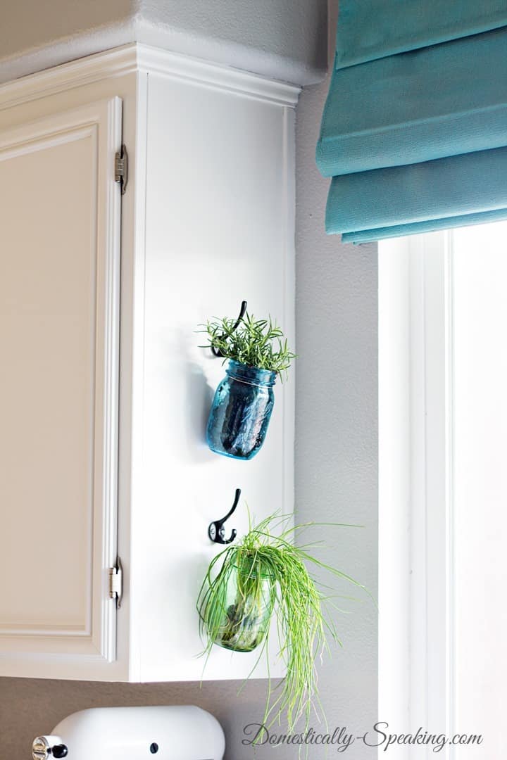 Small herb garden with mason jars