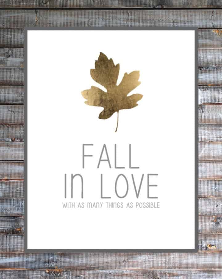 Fall in Love Printable from B Repurposed