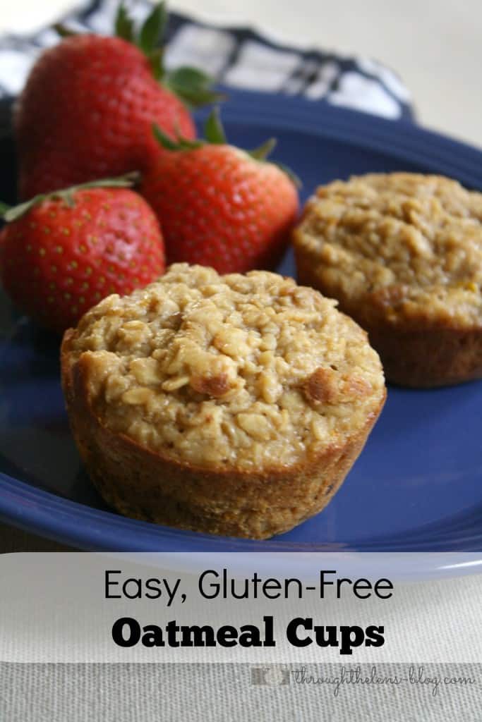 Gluten Free Oatmeal Cups