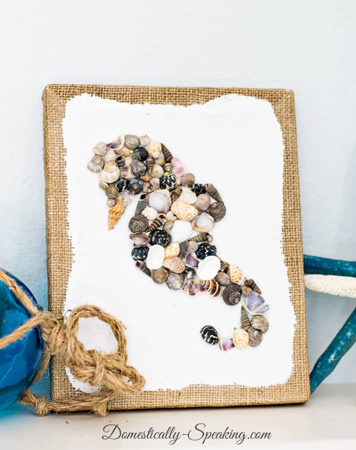 Beach crafts featuring beach ball art, seashell crafts, and coastal DIY projects for all ages