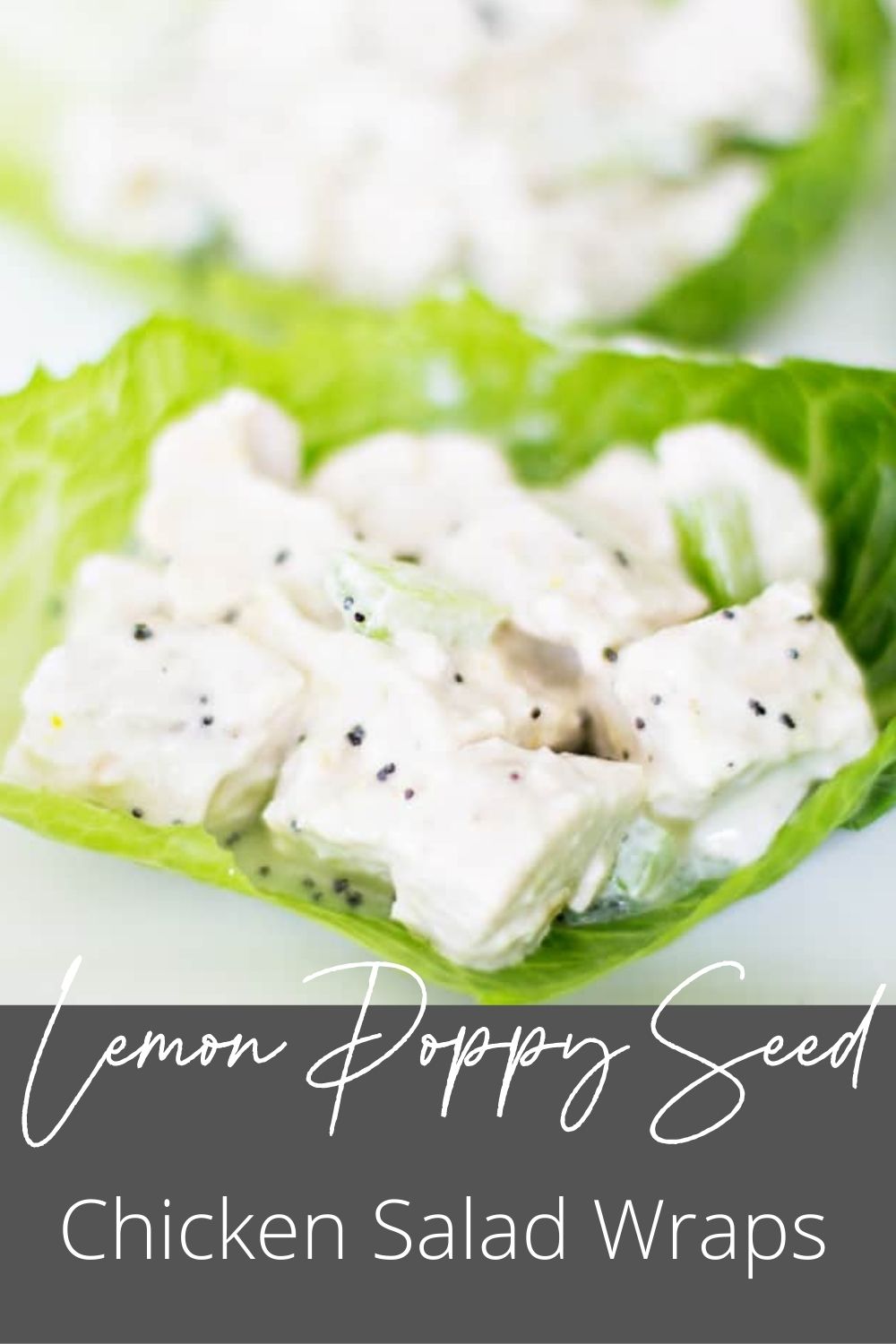 Low Calorie Chicken Salad Sandwich Lettuce Wrap with Lemon Poppy Seed Dressing Domestically