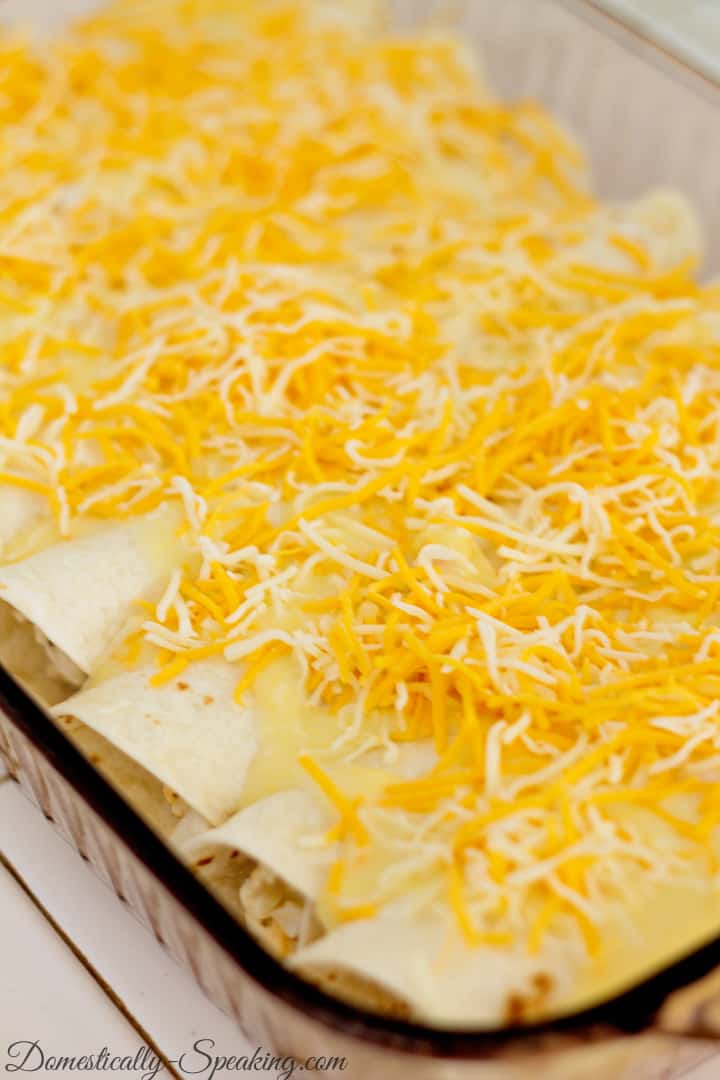 Creamy White Chicken Enchiladas