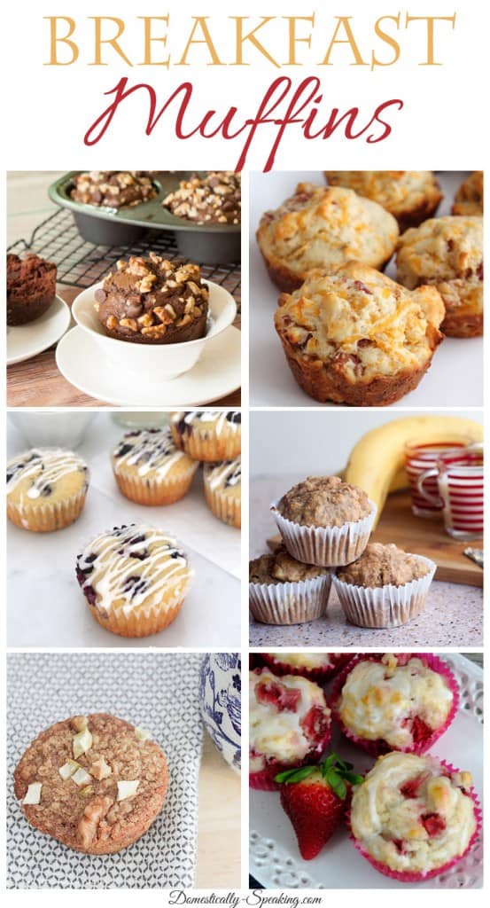 Breakfast Muffin Recipes