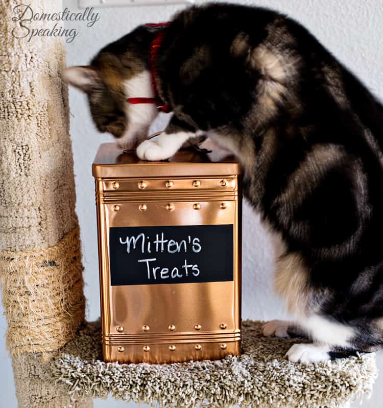 Cat Pet Food Storage Bin from a Copper Cookie Tin