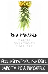Do It...Be A Pineapple - Domestically Speaking