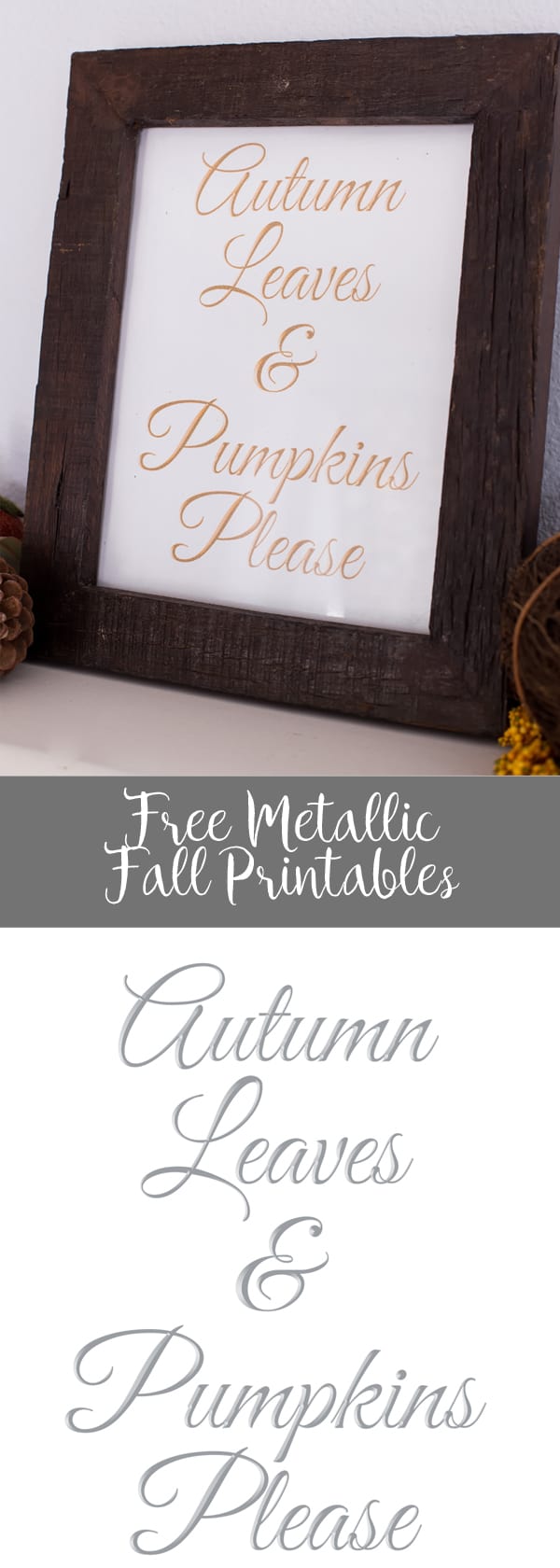 Free Metallic Fall Printables - Autumn Leaves and Pumpkins Please in Silver, Bronze & Gold! Free Metallic Fall Printables - Autumn Leaves and Pumpkins Please in Silver, Bronze & Gold!