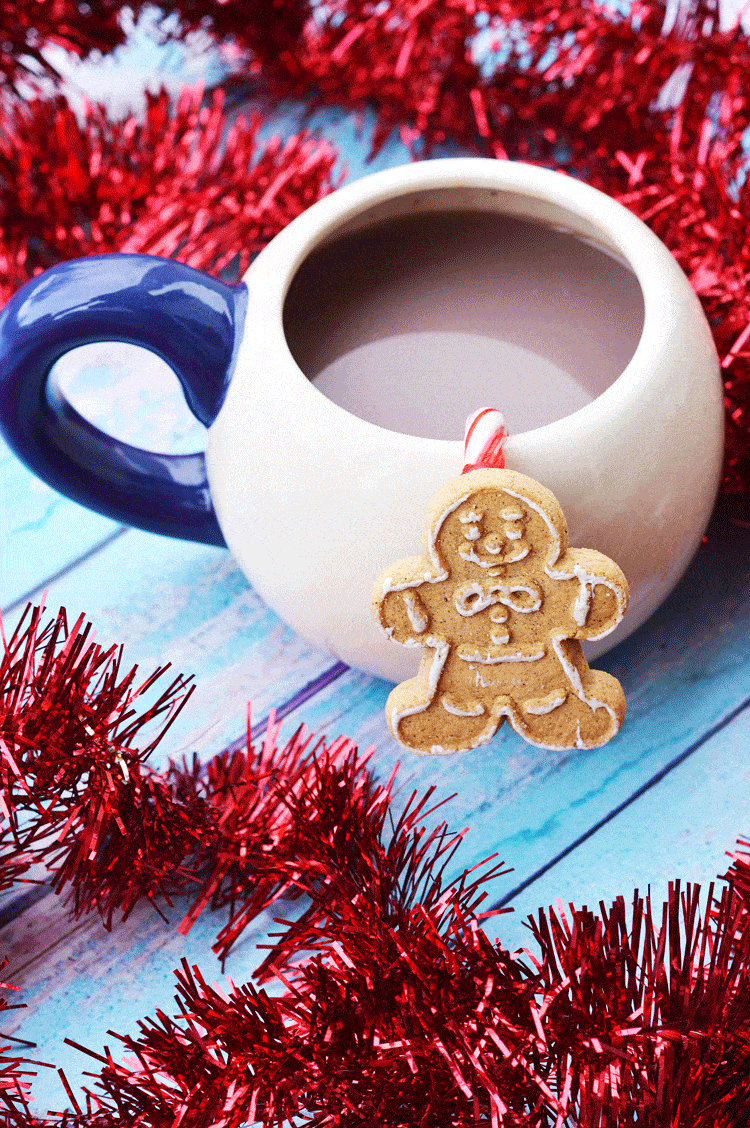 make your own cute gingerbread cookie hange