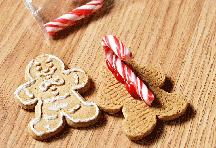 Use red frosting to adhere the mini candy canes to the back of the gingerbread cookie Use red frosting to adhere the mini candy canes to the back of the gingerbread cookie