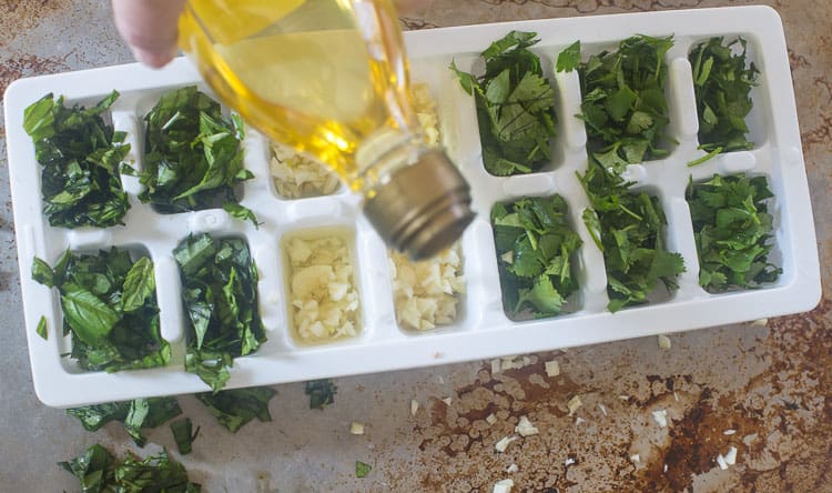 Adding the olive oil to your fresh herbs in your ice cube trays Adding the olive oil to your fresh herbs in your ice cube trays