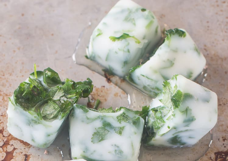 Frozen fresh cilantro in olive oil Frozen fresh cilantro in olive oil