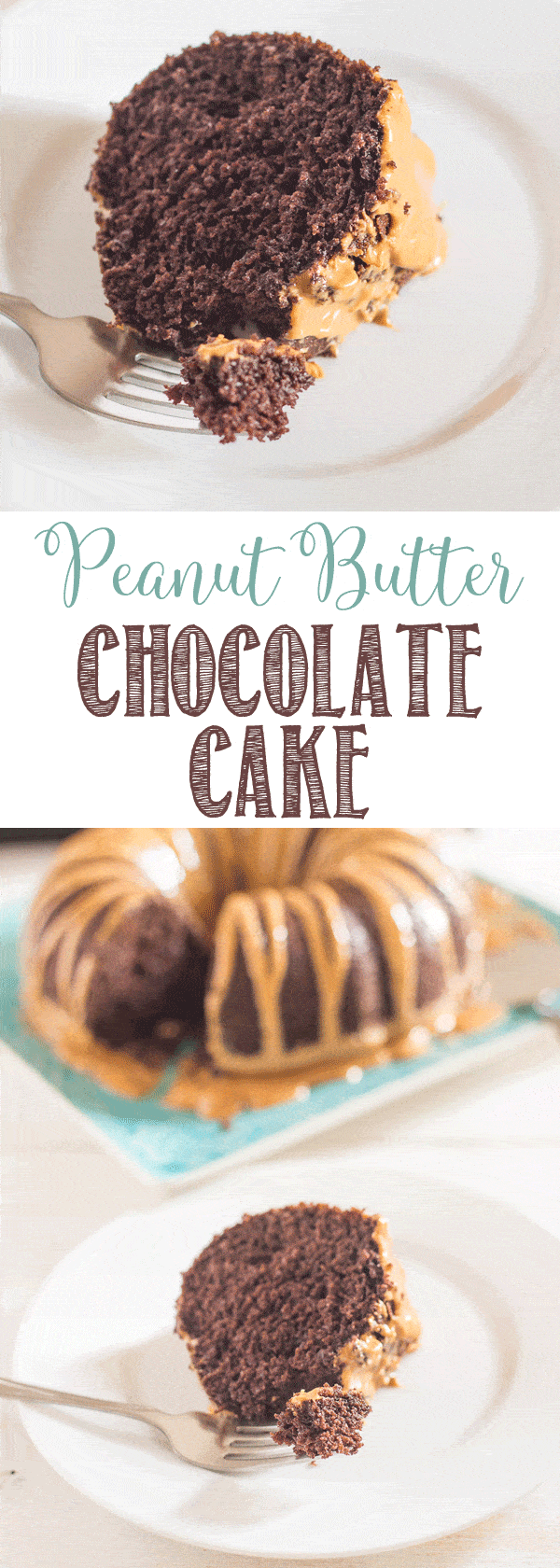 Peanut Butter Chocolate Cake Recipe | Easy doctored cake mix | moist and delicious cake