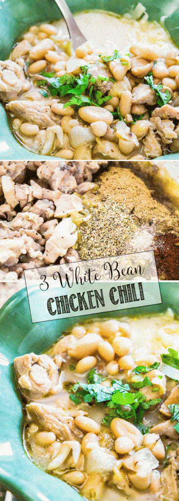 3 White Bean Chicken Chili | Garlic, Cilantro, Onions and seasonings will make this a family favorite 3 White Bean Chicken Chili | Garlic, Cilantro, Onions and seasonings will make this a family favorite