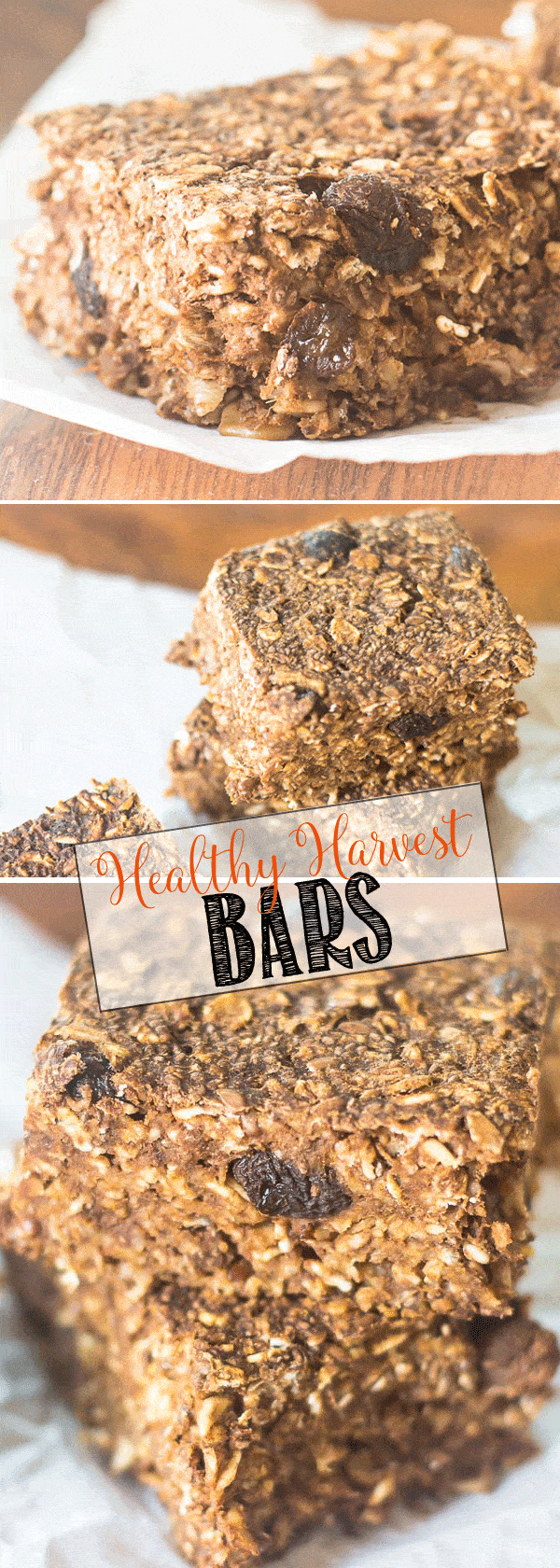 Healthy Harvest Bars | A healthy fall treat packed with pumpkin, applesauce, oats and more