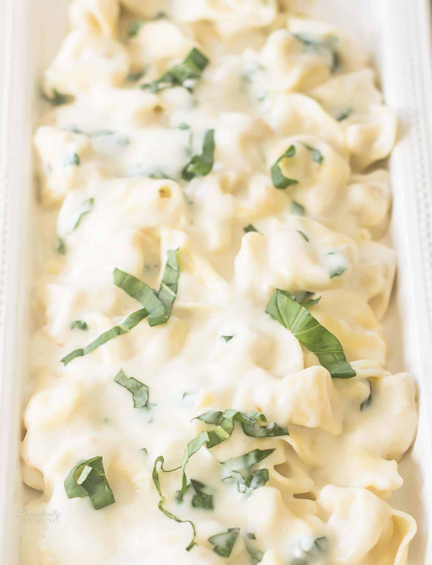 Creamy Tortellini Pasta with Garlic Basil Sauce - Domestically Speaking