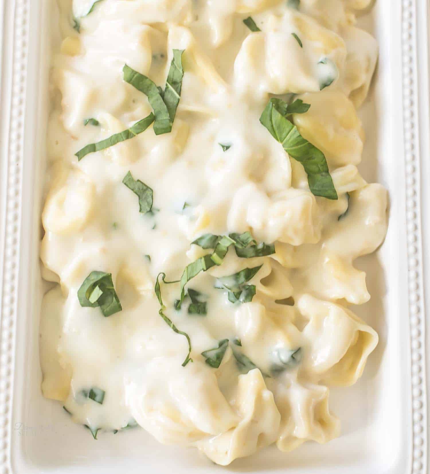 Creamy Tortellini Pasta with Garlic Basil Sauce - Domestically Speaking