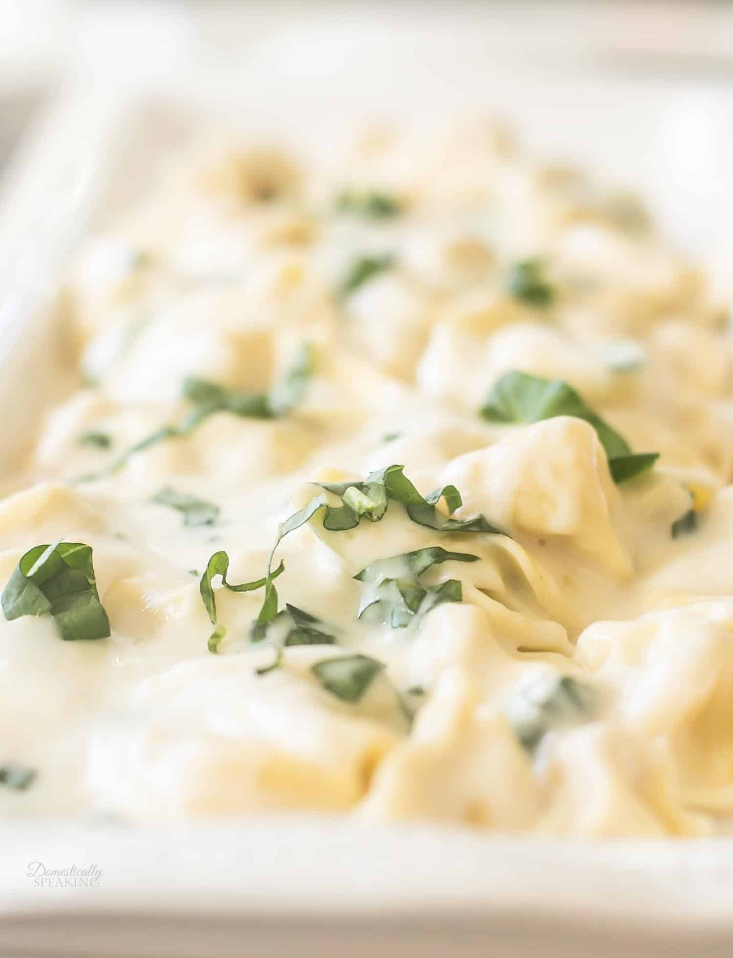 Creamy Tortellini Pasta with Garlic Basil Sauce Domestically Speaking