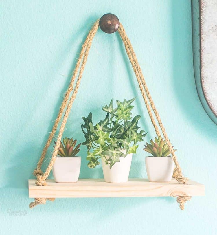 Rope Hanging Shelf for Succulents - Domestically Speaking