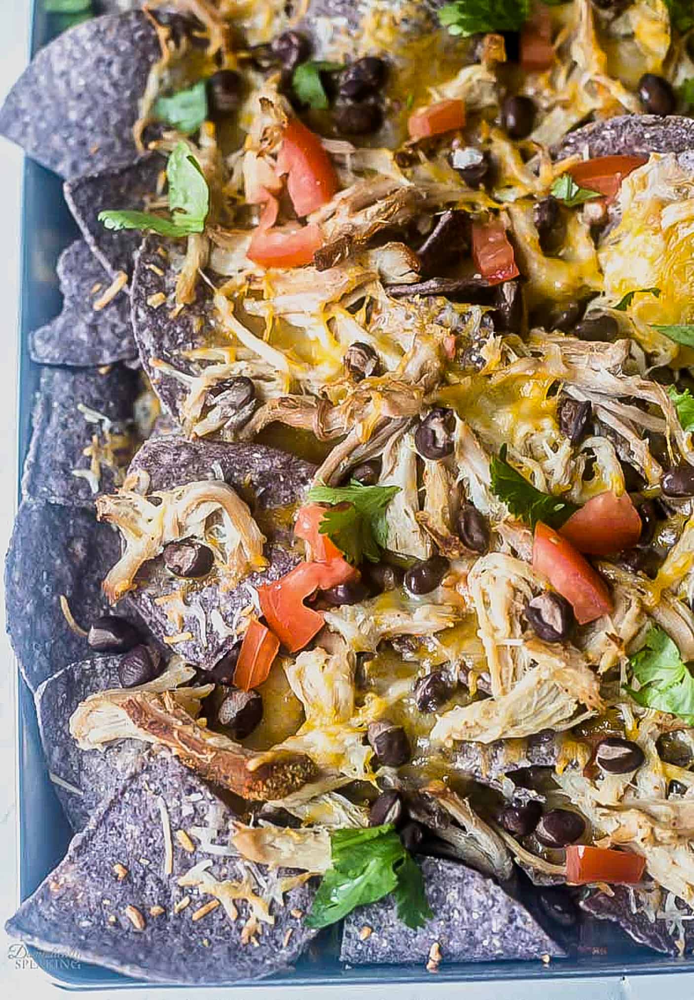 Tray of Pork Carnitas Nachos