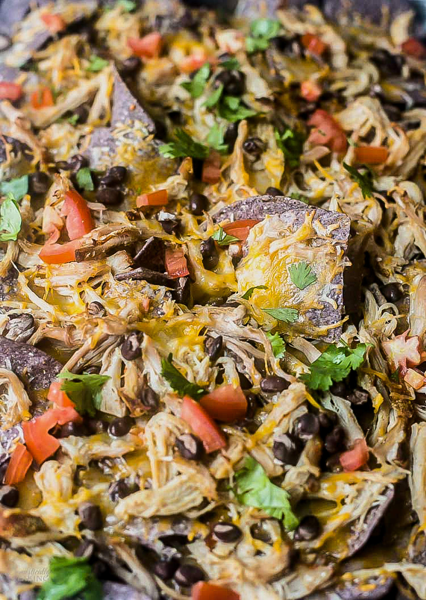 Carnitas Nachos a family favorite - Domestically Speaking