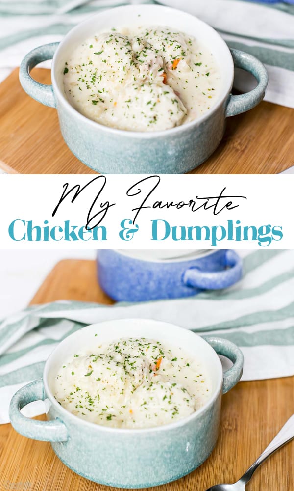 Chicken and Dumpling pin image