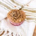 Pumpkin Muffin with great fall spices