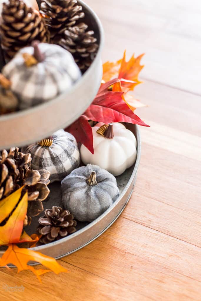 Pumpkins on a Tray