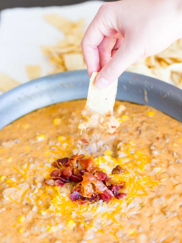 Southwestern Beef and Cheese Dip Domestically Speaking