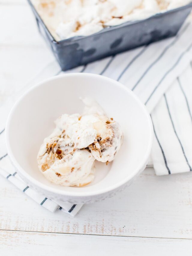 Apple Cinnamon Ice Cream Domestically Speaking