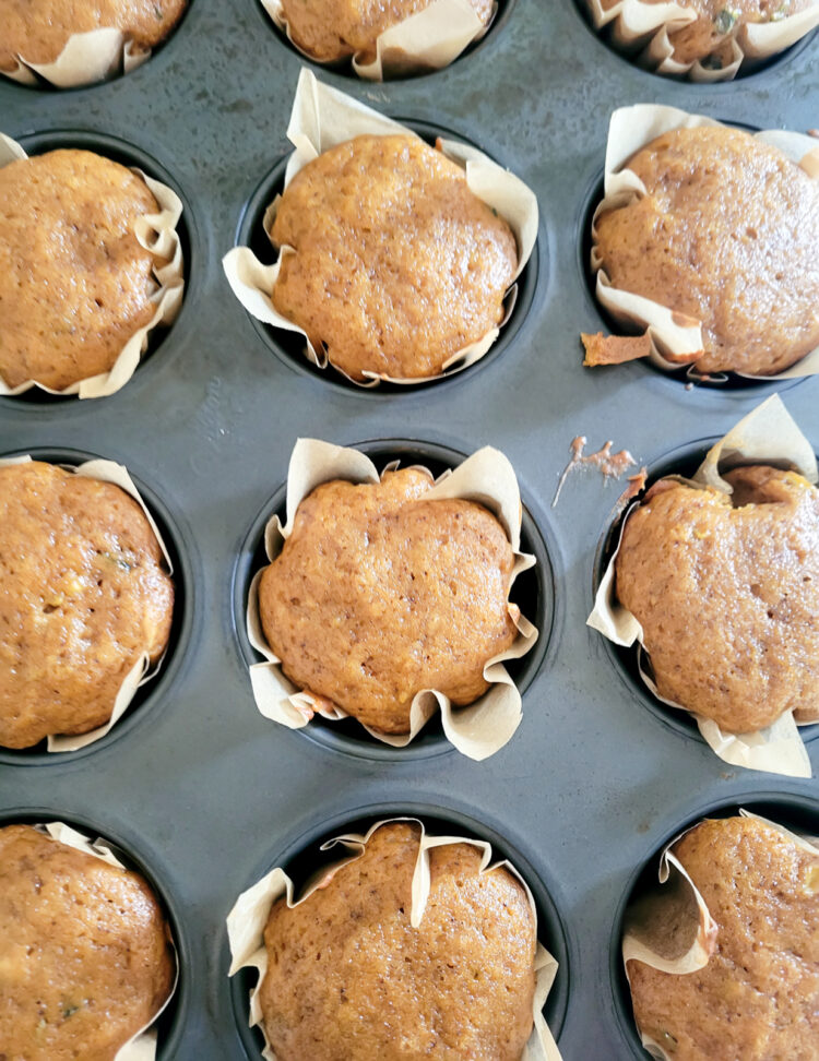 pumpkin zucchini muffins just out of the oven in muffin tin