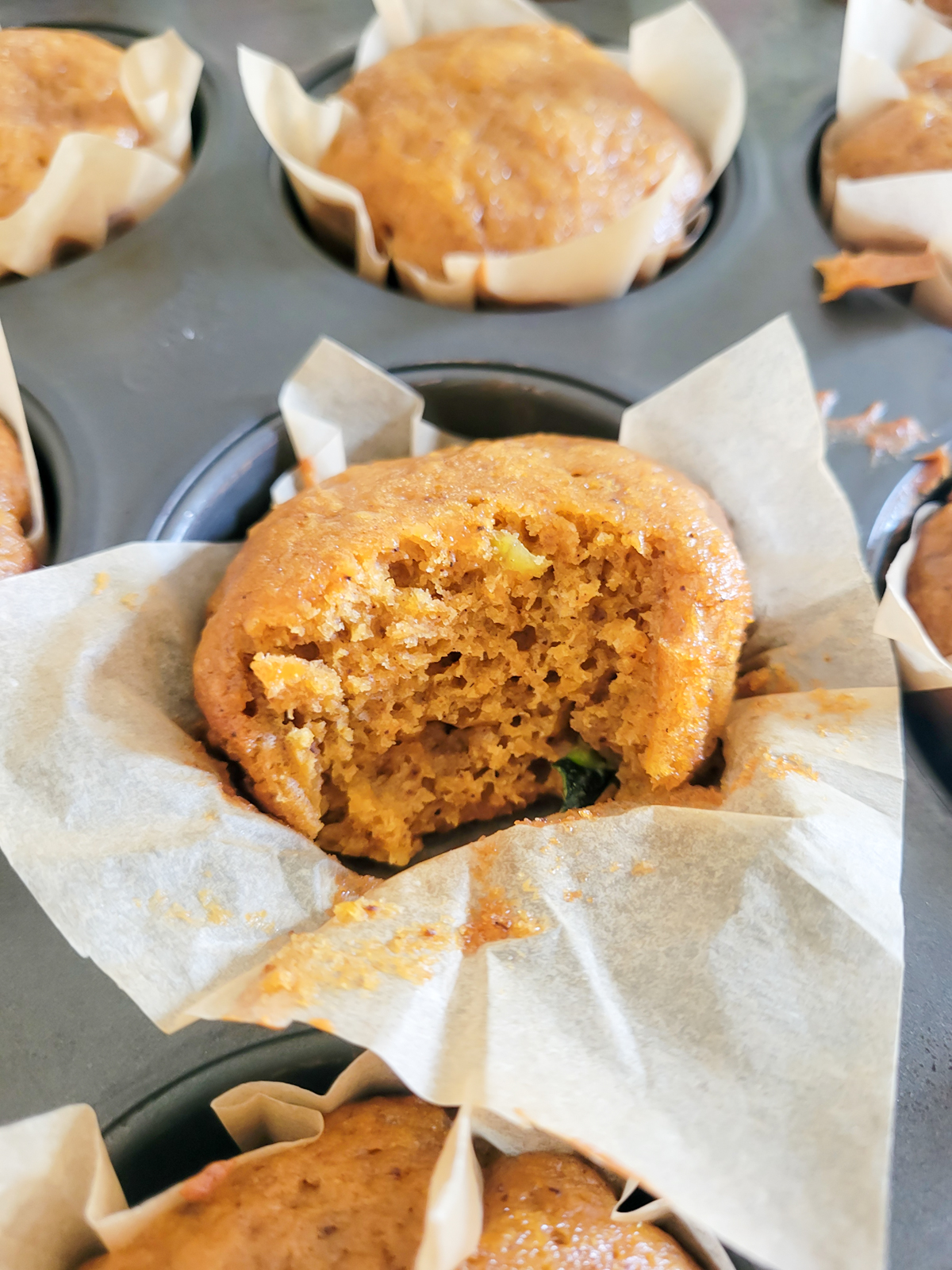 pumpkin zucchini muffin